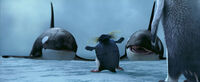 Still uit de film Happy Feet. Een pinguïn houdt twee haaien op afstand